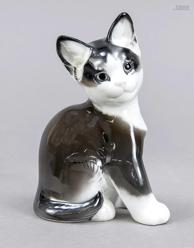 Sitting cat, Rosenthal, Selb-PlÃ¶ssbe