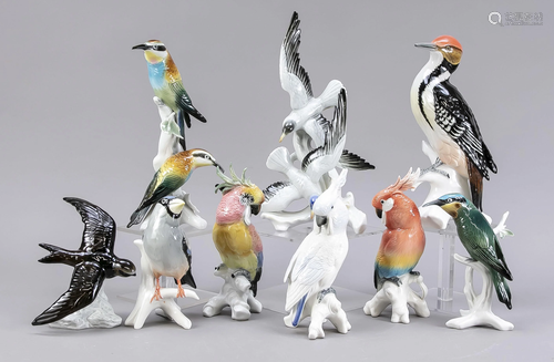 Assorted birds, 16 fugures, Ens, pol