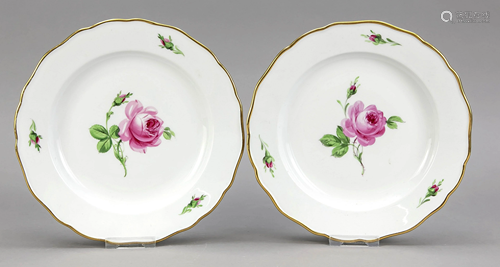 Two plates, Meissen, Knauff swords,