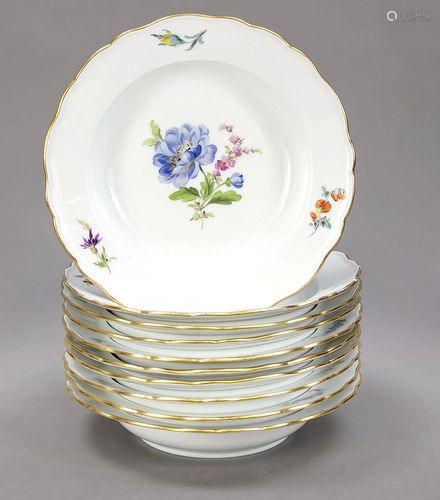 Ten deep plates, Meissen, Knauff-Sch