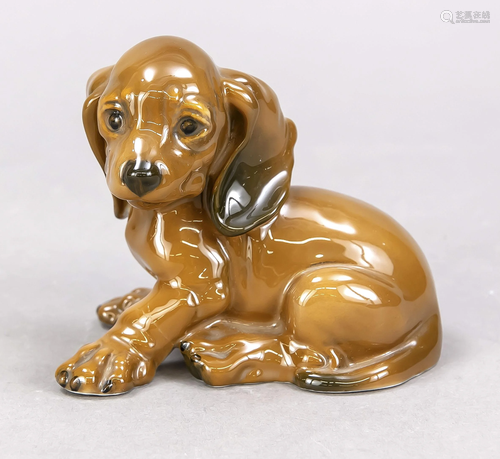 Sitting dachshund puppy, Rosenthal,