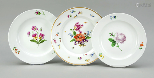 Three plates, flower painting, 2 pla