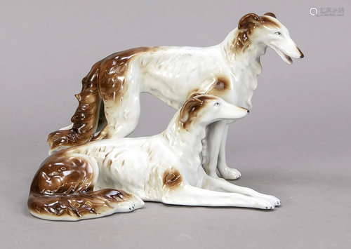 Pair of resting borzoi, GrÃ¤fenthal,