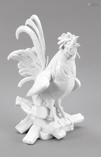 Crowing house rooster on wooden stak