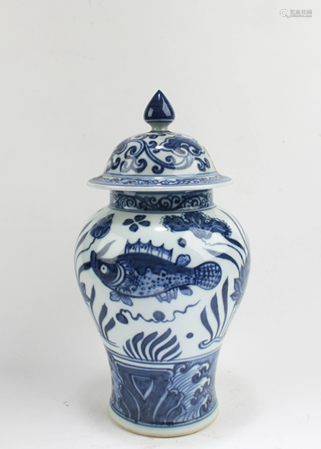 Chinese Blue & White Porcelain Jar