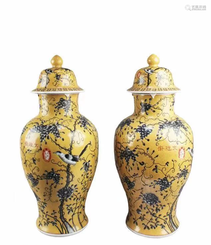 A Pair of Chinese Porcelain Vases