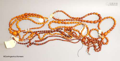 Nine assorted single strand amber bead necklaces, longest ap...