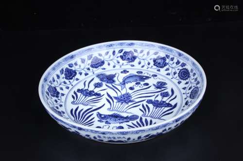 A Blue and White Fish with Grass Pattern Porcelain Plate