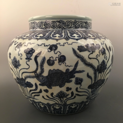Chinese Blue-White 'Fish' Jar
