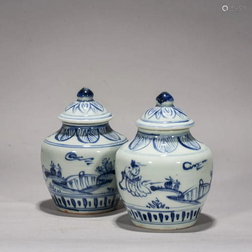 A Pair of Chinese Blue And White 'Figures' Jars With