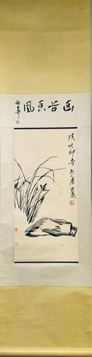 Tang Yun Plants