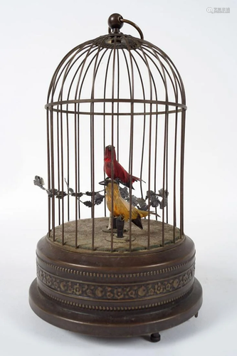 BIRD CAGE AUTOMATON