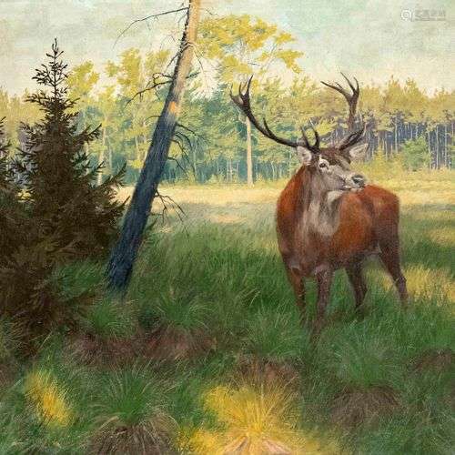 signed Schilke, hunting painter 1st half 20th century, deer ...
