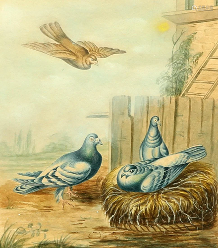 ENGLISH SCHOOL (EARLY 19TH CENTURY), PIGEONS NESTING,