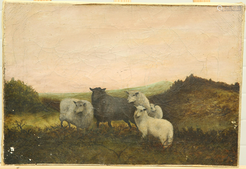 C*** GLOVER (19TH/20TH CENTURY), FIVE SHEEP GATHERED ON