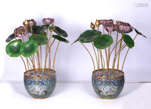 A pair of Cloisonne enamel lotus pot