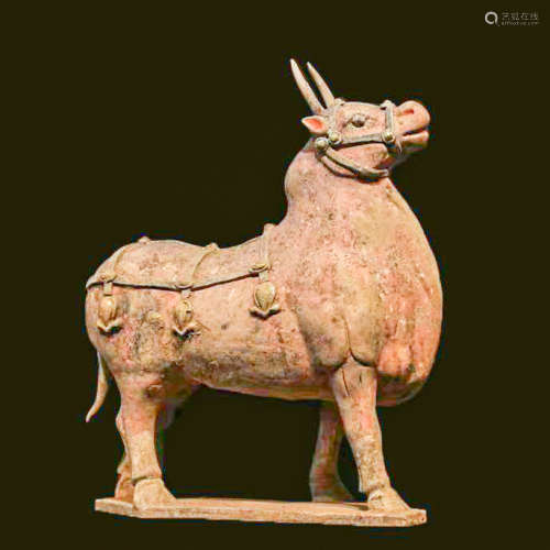 CHINESE PAINTED POTTERY COW, TANG DYNASTY