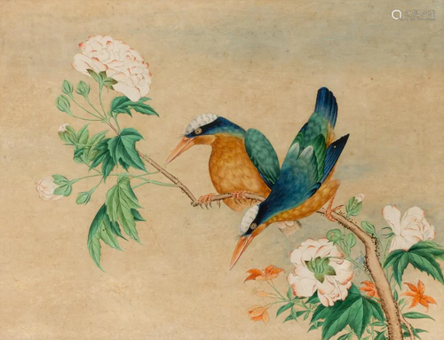 Chinese School 19th Century Kingfishers on a Flowering