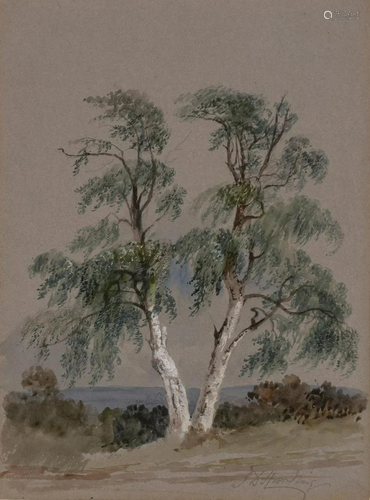 James Duffield Harding English, 1797-1863 Study of a