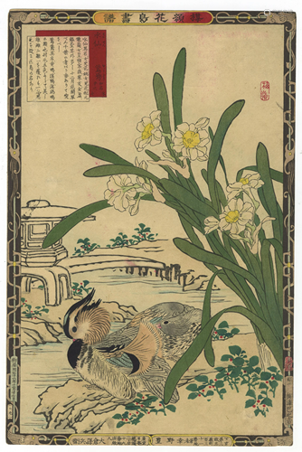 Bairei Kon, Mandarin Duck, Japanese Woodblock Print