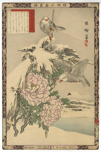 Bairei Kono, Peony, Kacho-ga, Japanese Woodblock Print