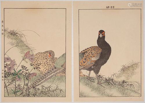 Keinen Imao, Pheasant, Japanese Woodblock Print