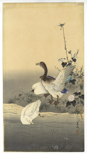 Keibun Matsumura, Ducks, Japanese Woodblock Print