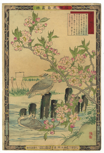 Bairei Kono, Cherry Tree, Japanese Woodblock Print