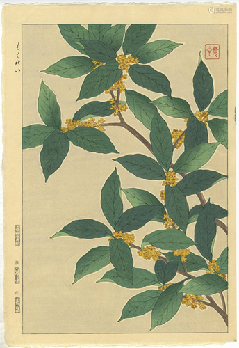 Shodo Kawarazaki, Osmanthus, Japanese Woodblock Print