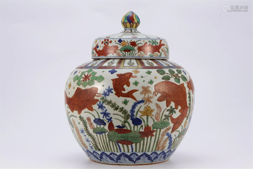 A WU-CAI FISH AND LOTUS PORCELAIN JAR AND COVER