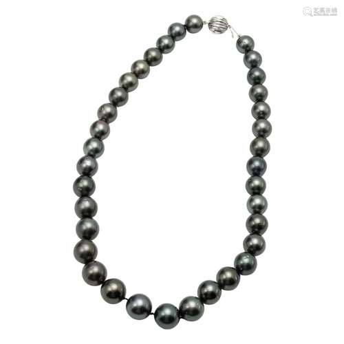 Tahitian Pearl Necklace