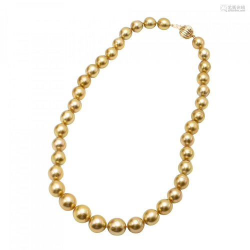 Golden South Sea Pearl Necklace