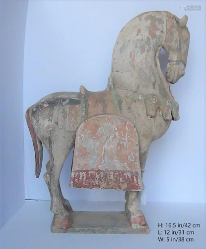 RARE CHINESE ANTIQUE HAN TANG WARING HORSE