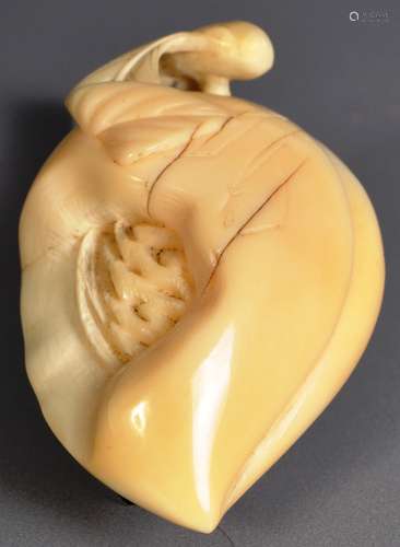 19TH CENTURY JAPANESE MEIJI PERIOD IVORY PEACH NETSUKE