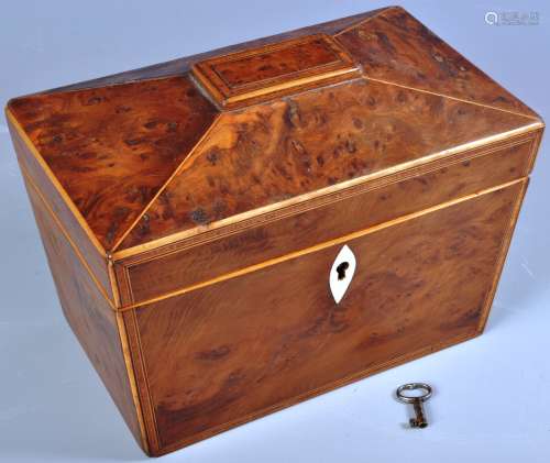 19TH CENTURY BURR WALNUT TEA CADDY