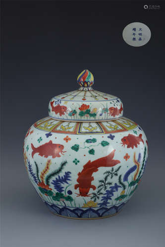 Jiajing colorful fish grass pattern lid jar