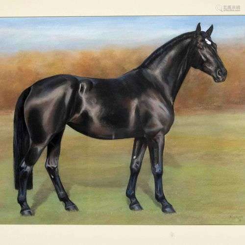 M. Schoss, late 20th century, portrait of a horse, color cha...