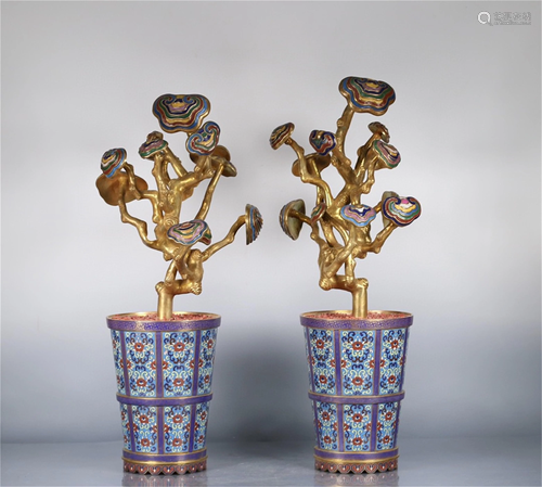 A Pair of Cloisonne Bonsai