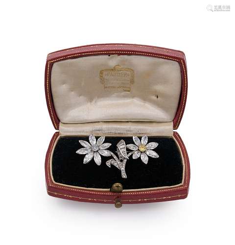 A white and fancy colour diamond daisy brooch,