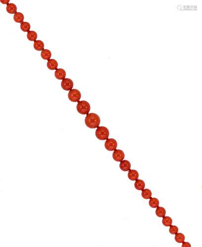 A row of graduated coral beads,