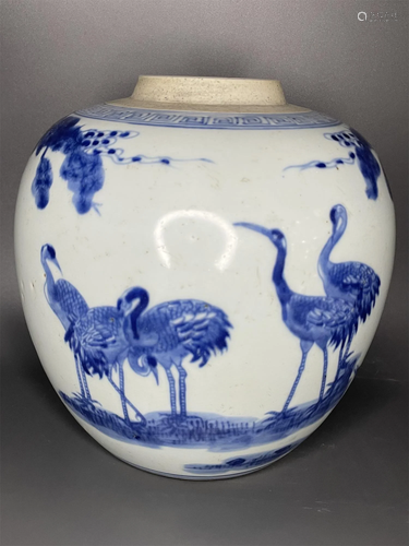 A Chinese Blue and White Porcelain Jar