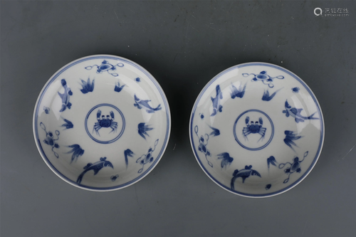 A PAIR OF CHINESE BLUE AND WHITE PORCELAIN DISH