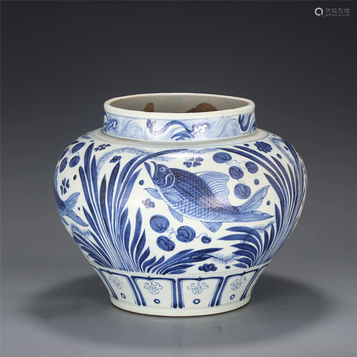 A CHINESE BLUE AND WHITE FISH AND WATER PLANTS JAR