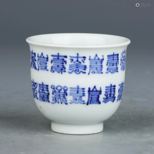 A CHINESE BLUE AND WHITE PORCELAIN 