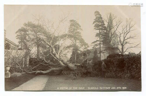 A collection of 41 postcards of West Sussex, including photo...