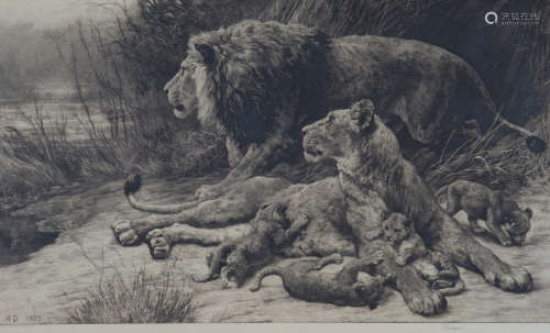 Herbert Dicksee - 'Danger' (Family of Lions), etching, publi...