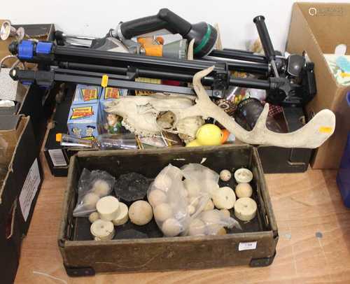 Two boxes of items to include a deer skull, camera tripods, ...