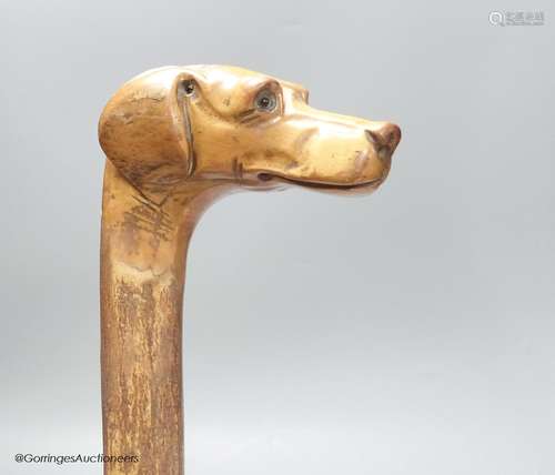 A carved walking stick in the form of a dog's head with glas...