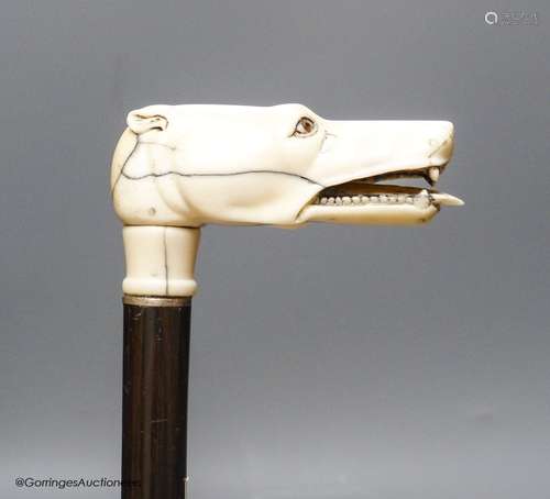 A rosewood walking stick with carved bone dog's head handle,...