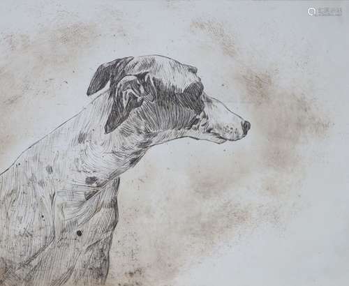 Modern British, etching, Study of a whippet's head, indistin...